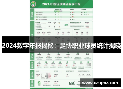 2024数字年报揭秘：足协职业球员统计揭晓