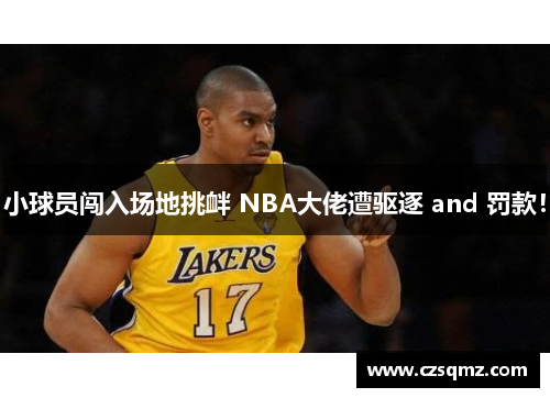 小球员闯入场地挑衅 NBA大佬遭驱逐 and 罚款！